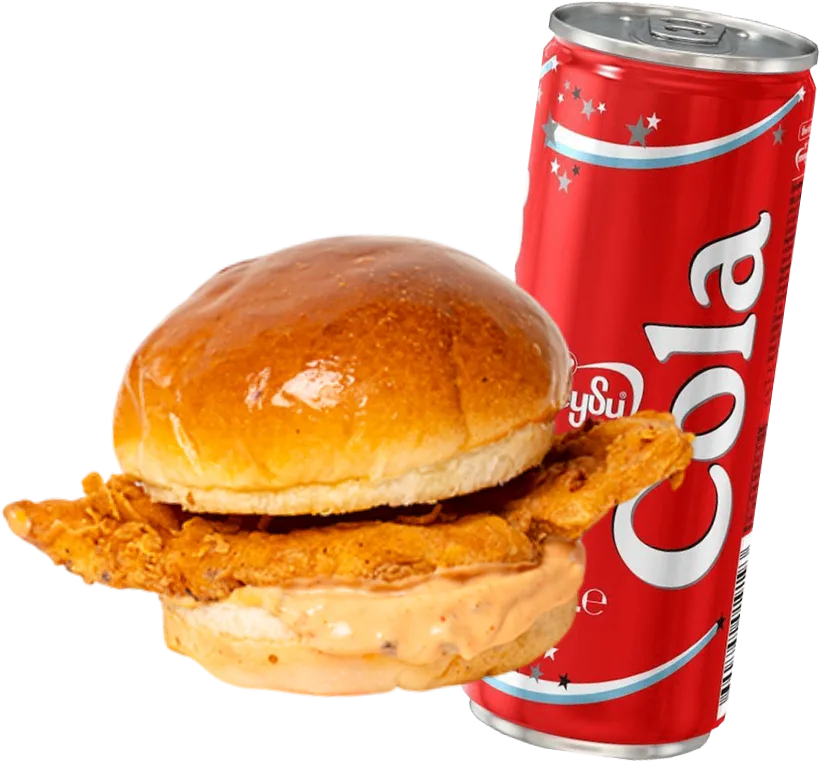 Tavuk Burger